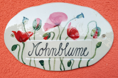 Mohnblume